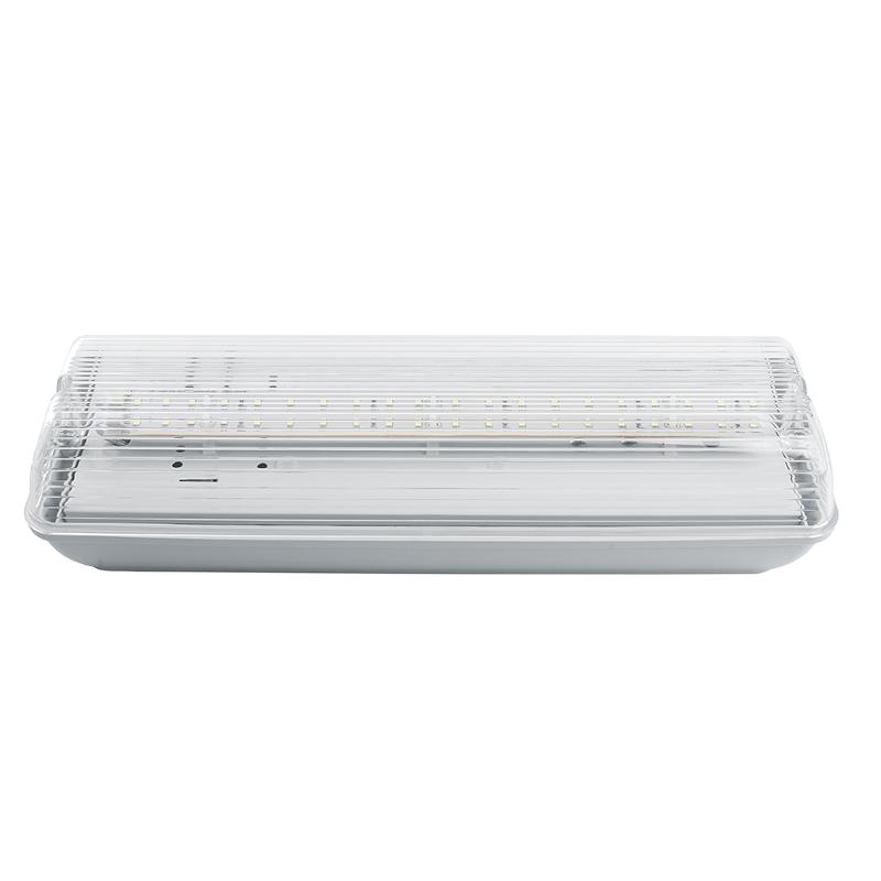 Светильник аварийный, 20 LED AC/DC, белый, EM101 с наклейкой ВЫХОД IP65 3 часа | 41536 | FERON — Feron