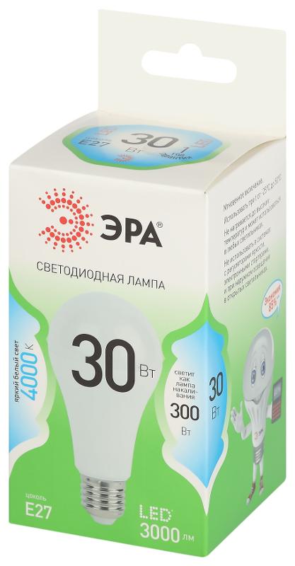 Лампа светодиодная  GREEN LINE LED A65-30W-840-E27 GL E27 30 Вт груша яркий белый свет | Б0067144 | ЭРА — миниатюра 5