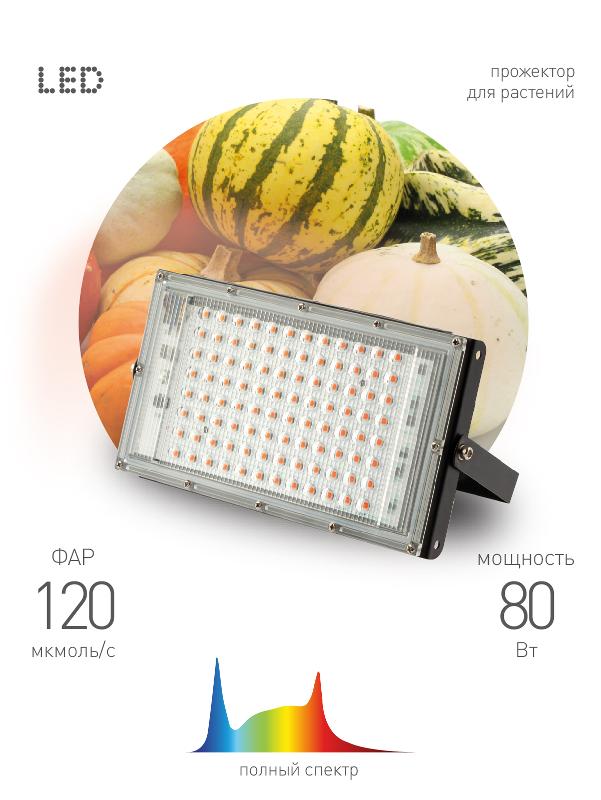 Фитопрожектор для растений светодиодный FITO-80W-Ra90-LED-Y полного спектра | Б0057284 | ЭРА — ЭРА (Энергия света)