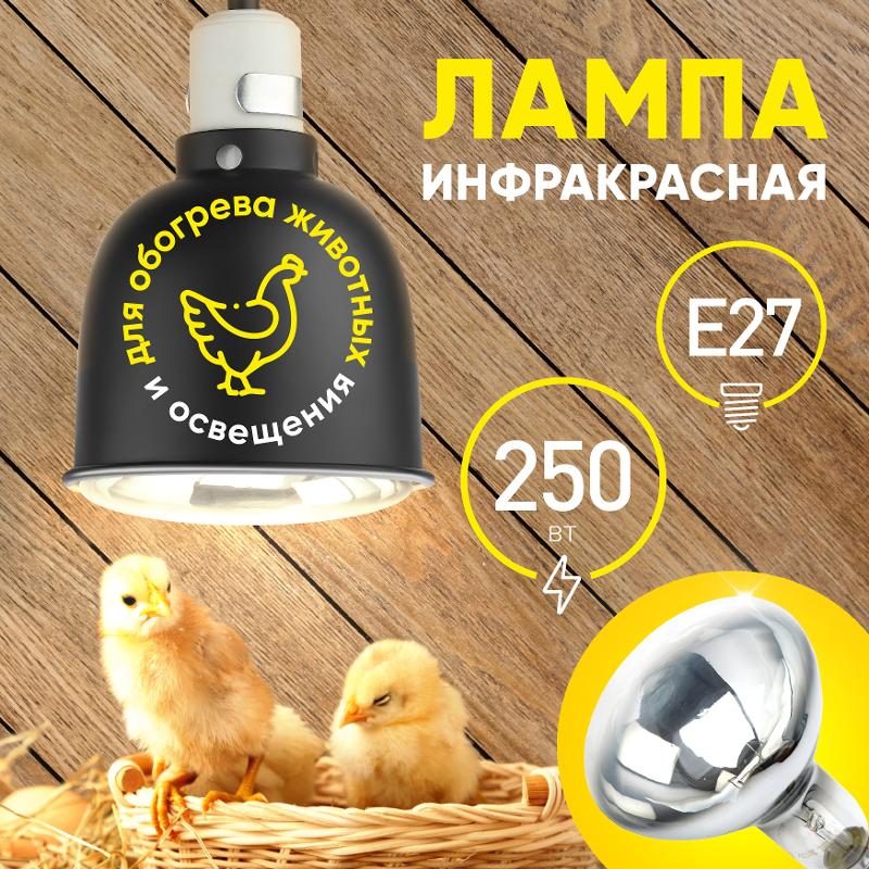 Инфракрасная лампа 250Вт ИКЗ 220-250 R127 Е27 для обогрева животных 220В | Б0055440 | ЭРА — миниатюра 5