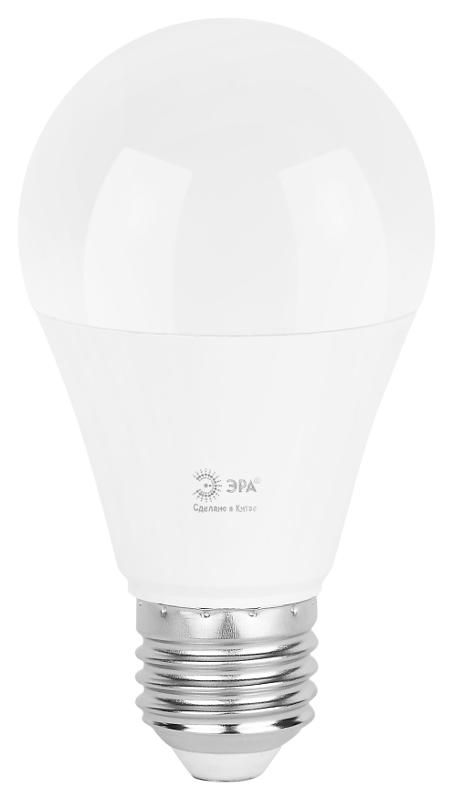 Лампа светодиодная  GREEN LINE LED A60-20W-830-E27 GL E27 20 Вт груша теплый свет | Б0067106 | ЭРА — миниатюра 6