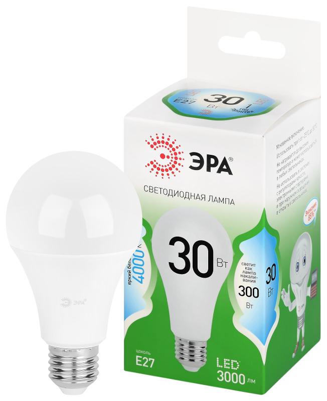 Лампа светодиодная  GREEN LINE LED A65-30W-840-E27 GL E27 30 Вт груша яркий белый свет | Б0067144 | ЭРА — ЭРА (Энергия света)