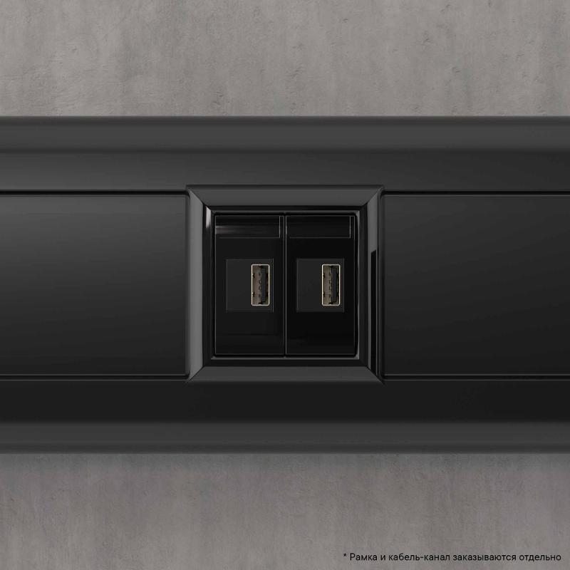 USB зарядное устройство "Черный квадрат", "Avanti", 2.1А, 2 мод. | 4402542 | DKC — миниатюра 9