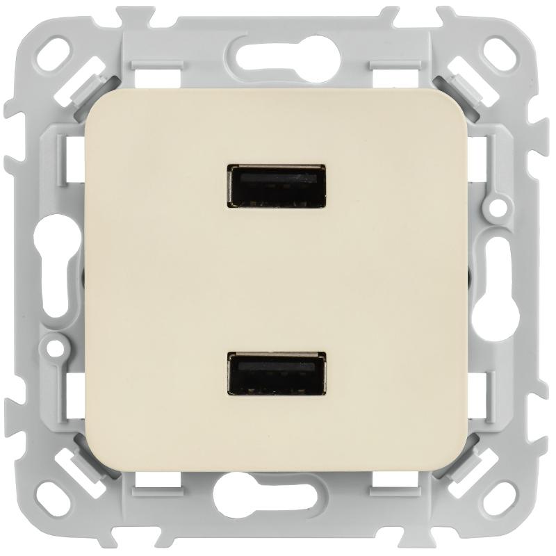 FLITE Розетка USB A+A 2,1А РЮ-2-ФлСл сливочный | FI-U21-D31-K86 | IEK — миниатюра 2