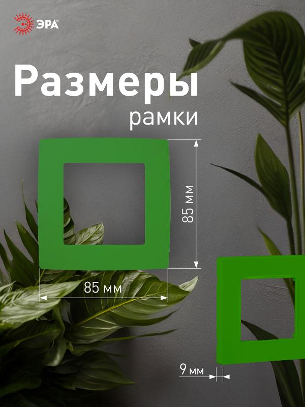 Рамка на 1 пост 12-5001-27  ,  зелёный  |Б0019392 | ЭРА — миниатюра 4