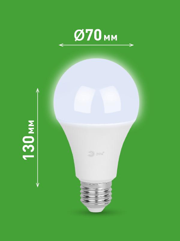 Лампа светодиодная  GREEN LINE LED A65-30W-865-E27 GL E27 30 Вт груша холодный свет | Б0067145 | ЭРА — миниатюра 2